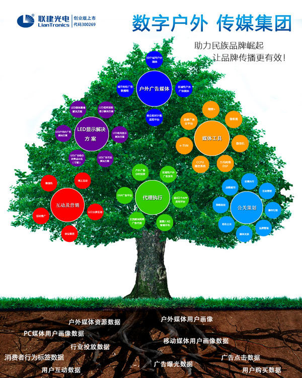 聯(lián)建光電數(shù)字戶(hù)外傳媒集團(tuán)